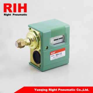 RNS Series Pressure Switch